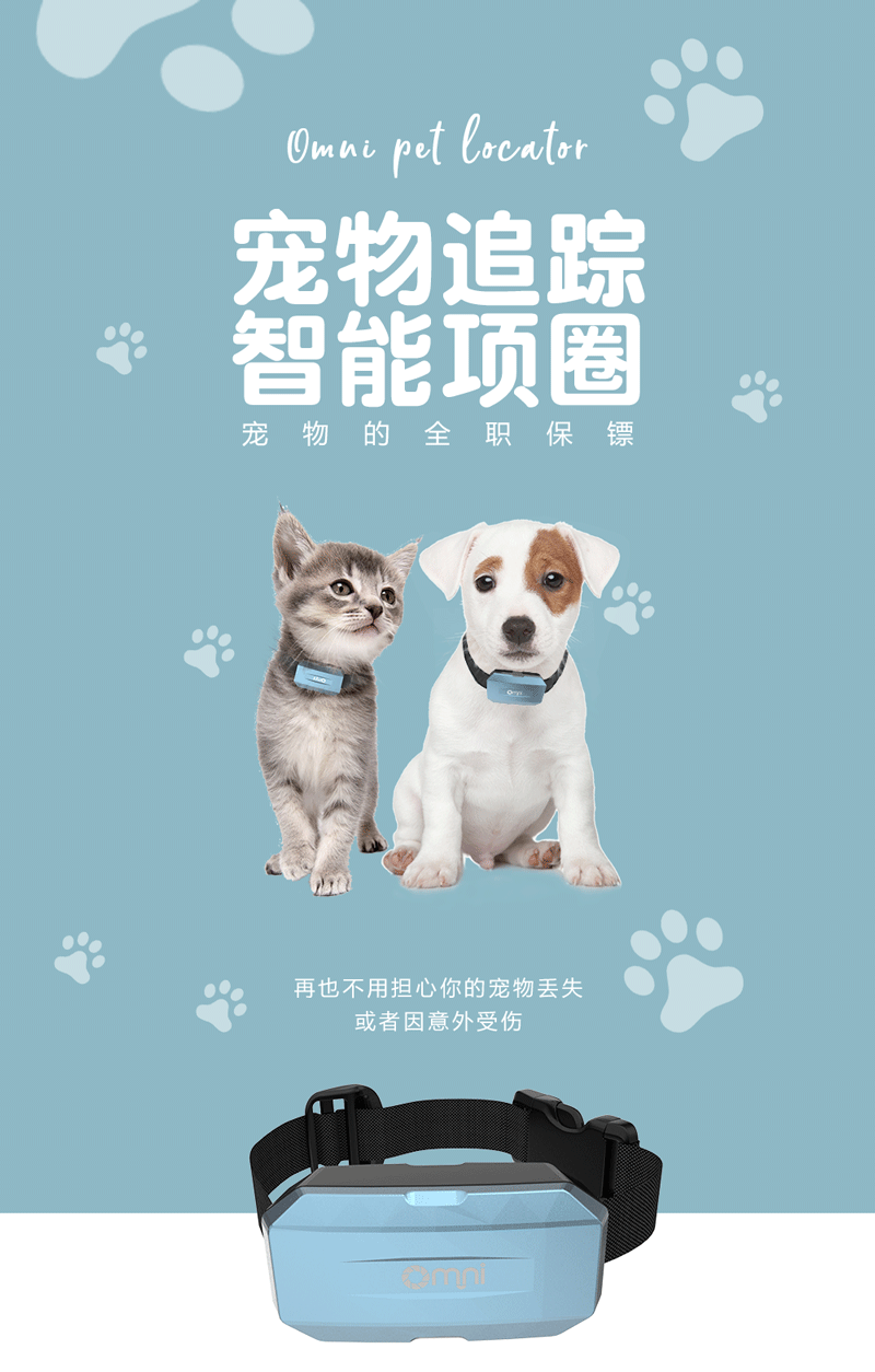 宠物项圈_01