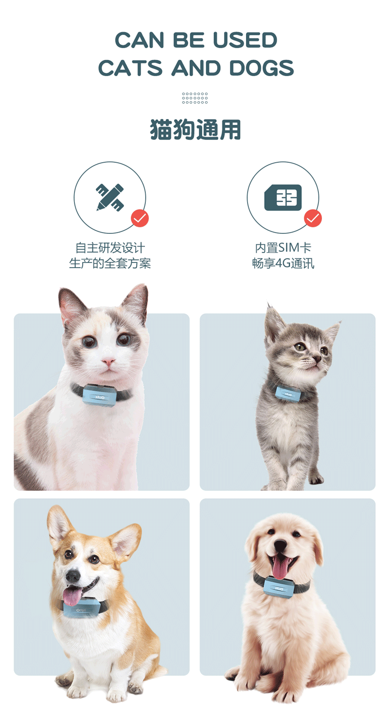 宠物项圈_02