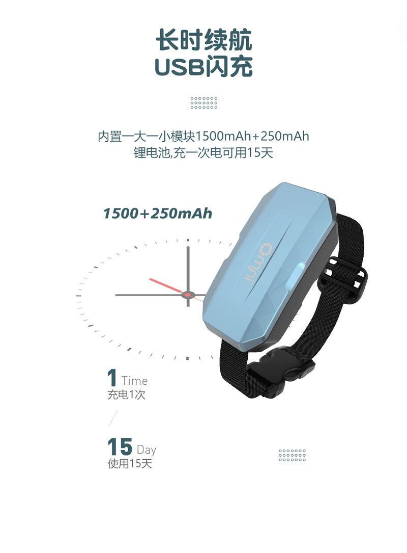 宠物项圈_11