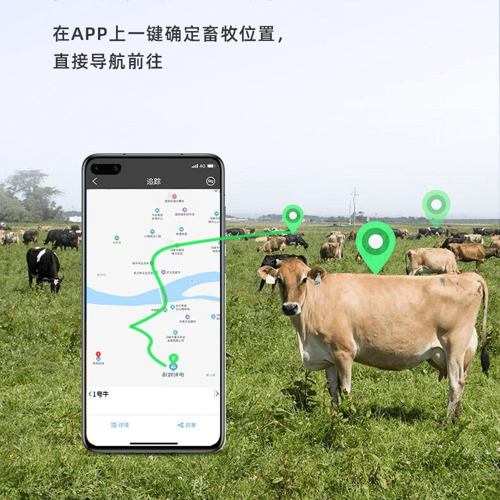 畜牧业牛羊马定位器